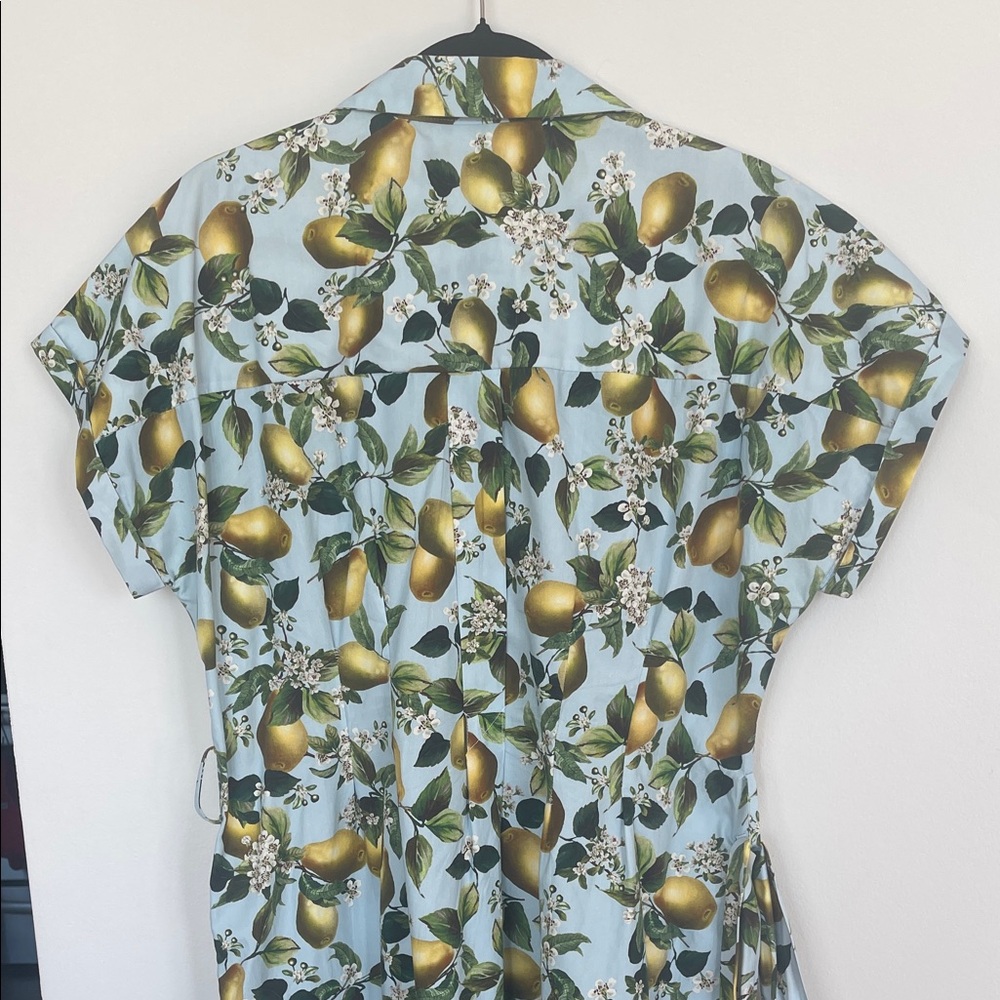 Zara Fruit Print midi Dress with Belt - Picture 7 of 7